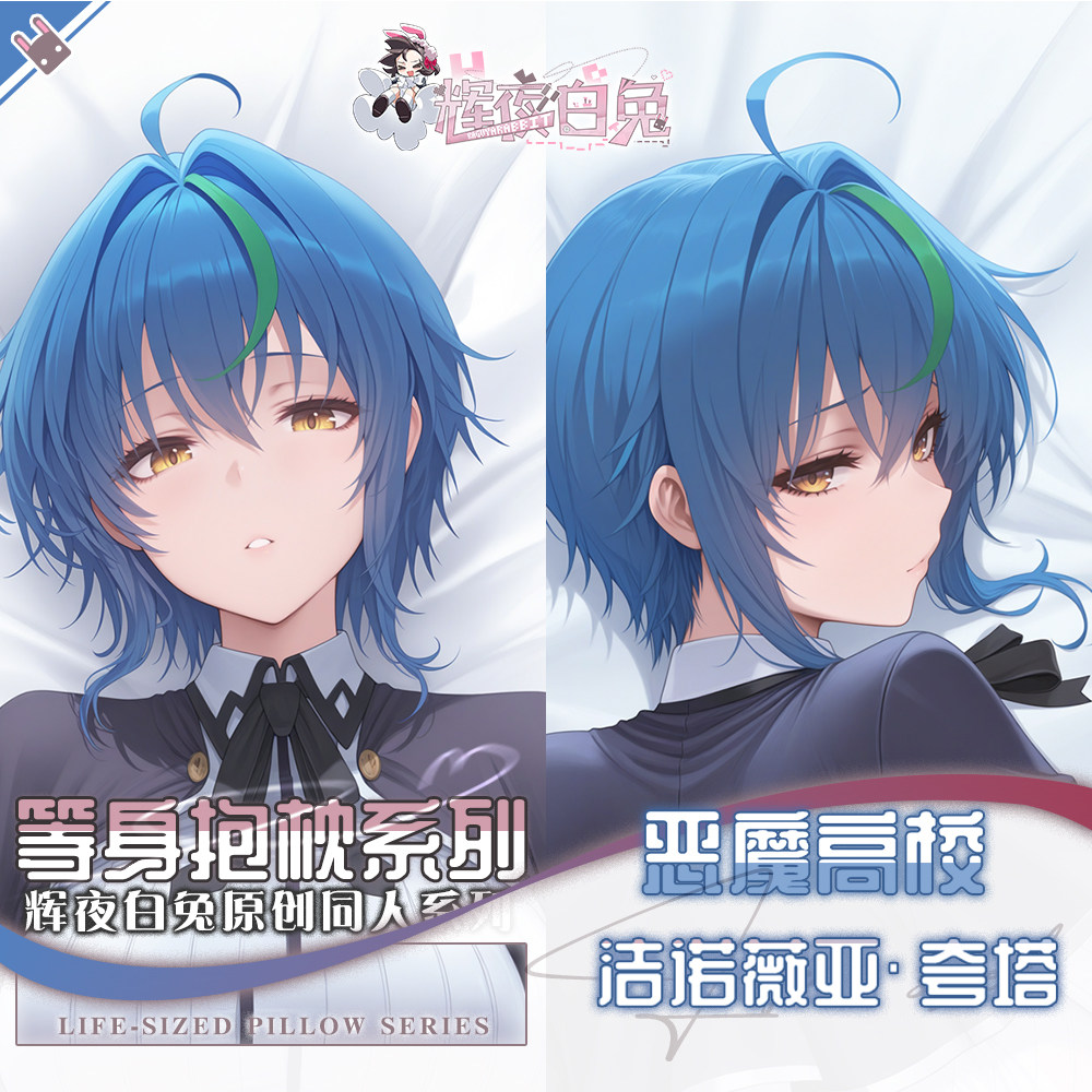 School Supplies - Dakimakura Yastık Kılıfı Anime Lise DxD